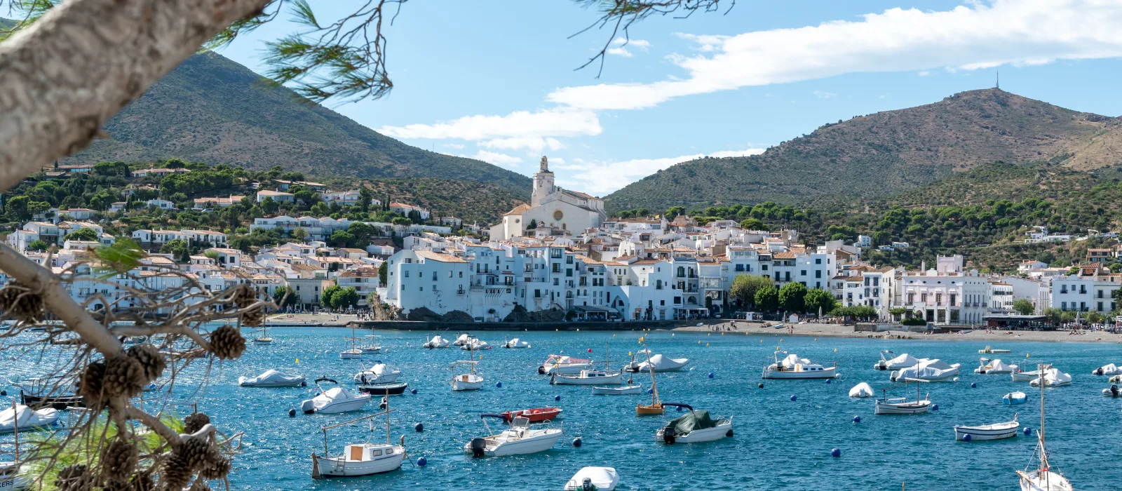 cadaques framed by pine branches showing its charm 2026 01 09 09 59 18 utc