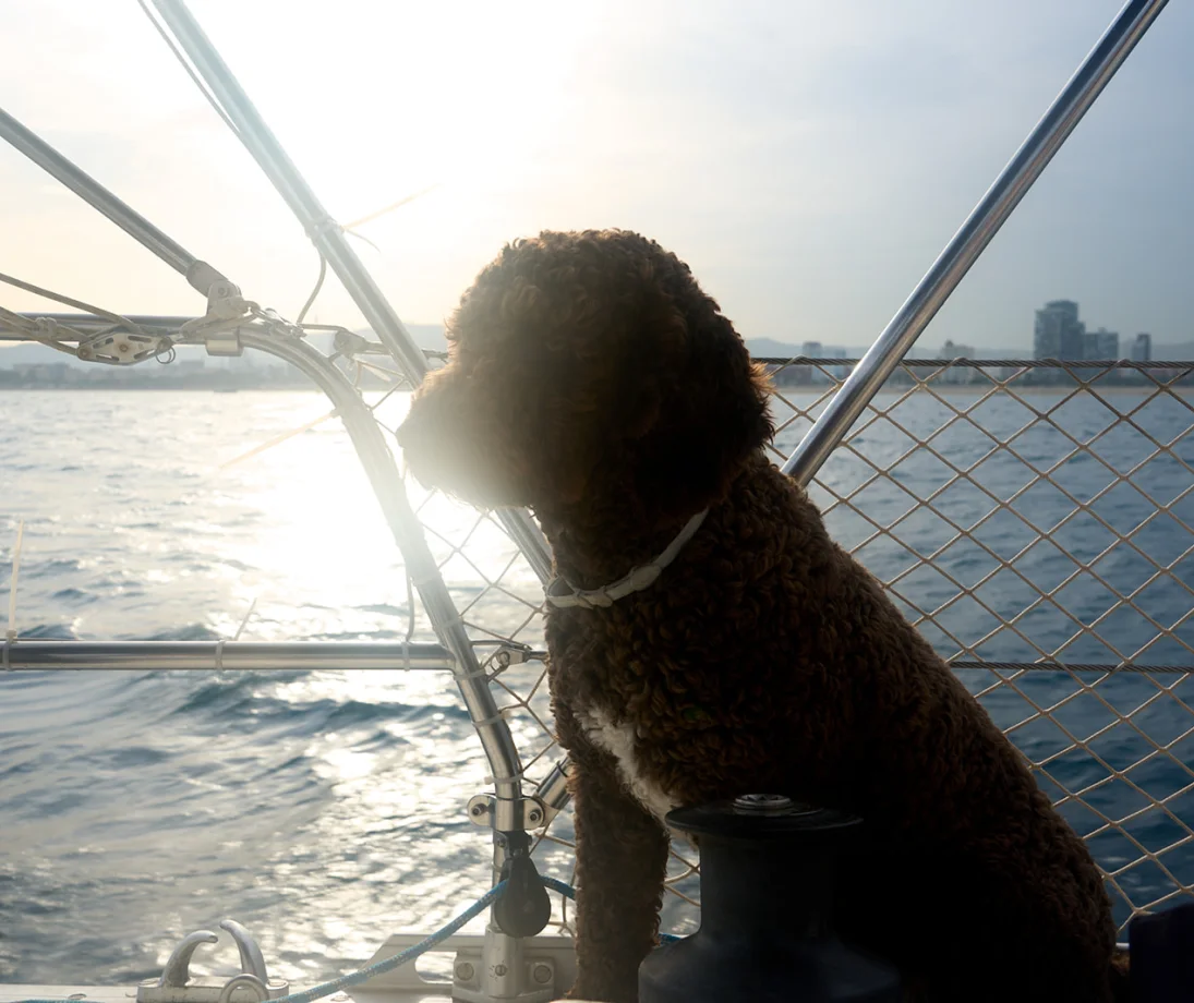 Tres persones parlant relaxadament en un veler de luxe davant l’skyline de Barcelona al capvespre